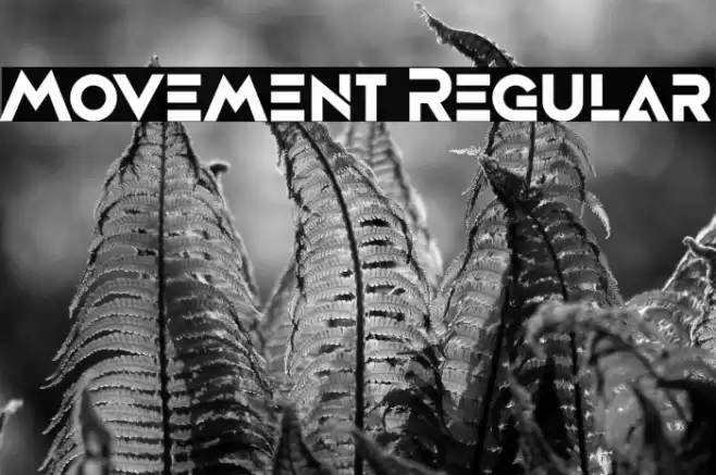 Movement Regular Font examples