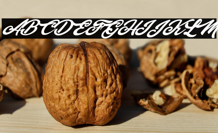 Movements Personal Use Regular Example 1