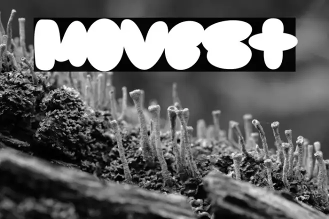 Movest Example 1