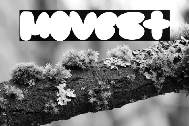 Movest Example 3