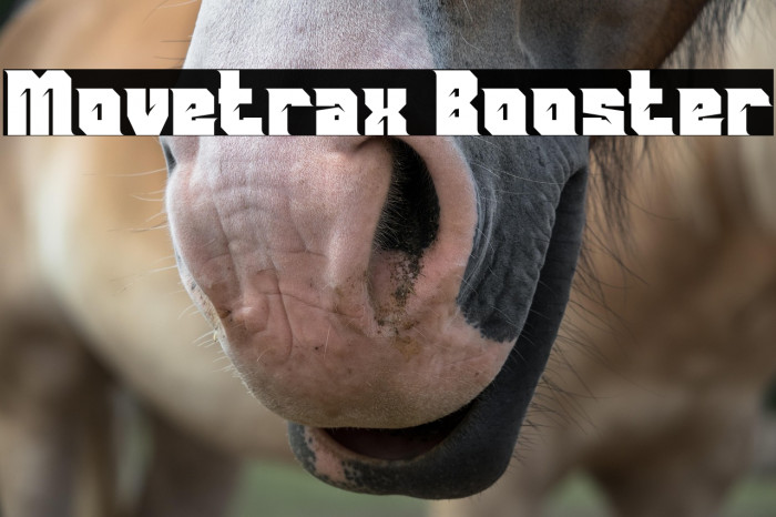 Movetrax Booster Example 1