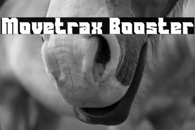 Movetrax Booster Caratteri examples