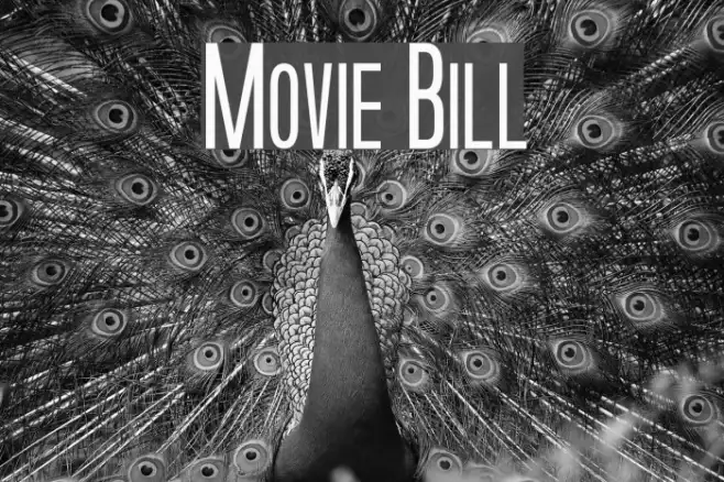 Movie Bill Example 3
