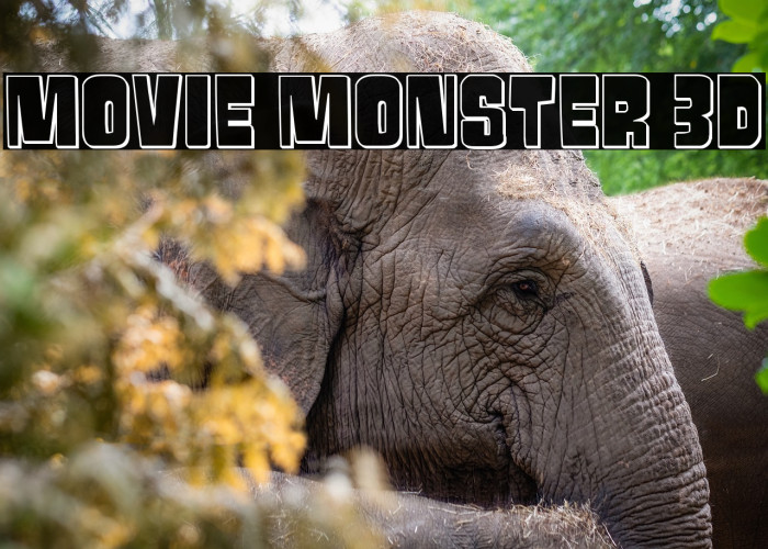 Movie Monster 3D Example 3