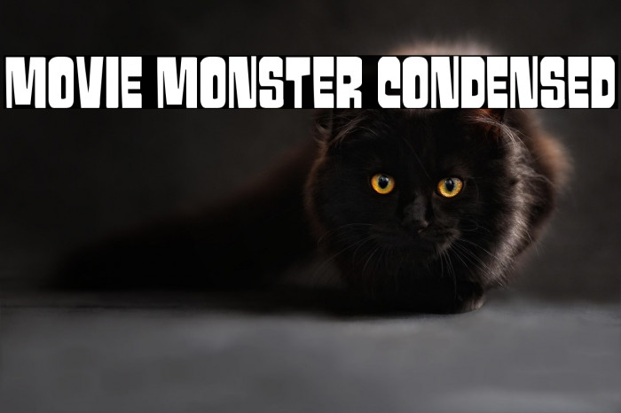 Movie Monster Condensed Example 1
