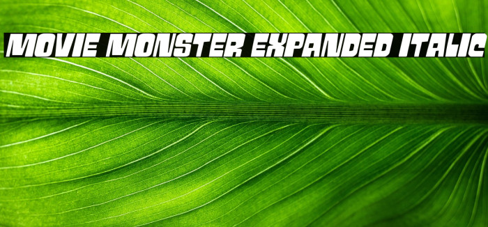 Movie Monster Expanded Italic Example 1