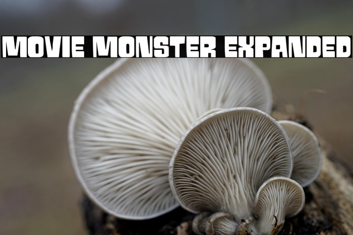 Movie Monster Expanded Example 2