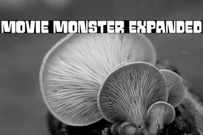 Movie Monster Expanded Font examples
