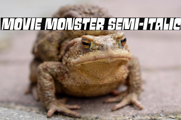 Movie Monster Semi-Italic Example 2
