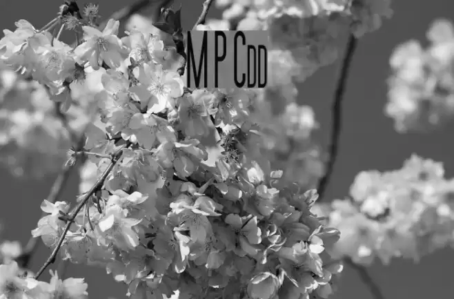 Movie Poster Condensed Font examples