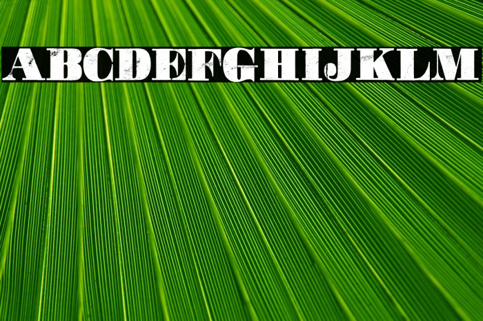 Movie Poster Personal Use  Example 1