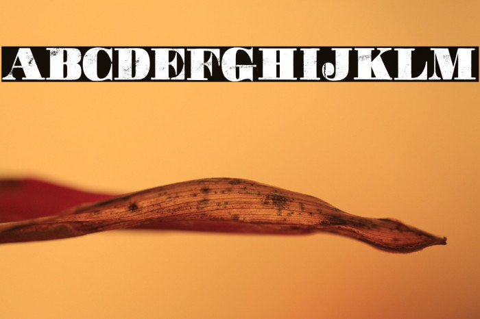 Movie Poster Personal Use  Example 2