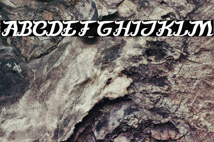 Movie Script Ending Bold Example 2