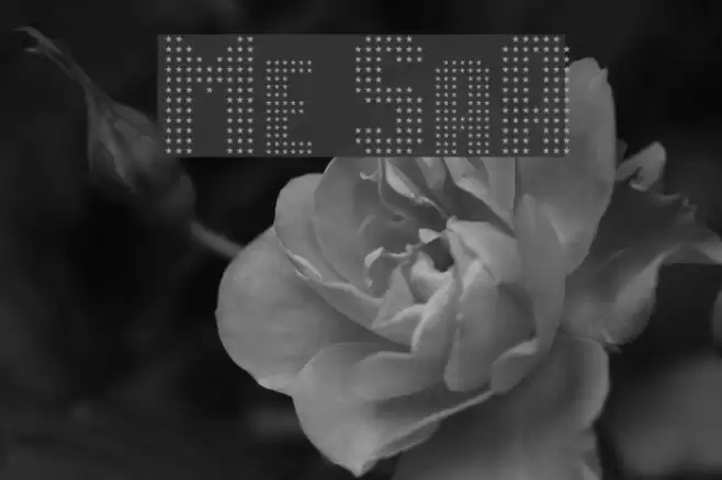 Movie StarA Font examples