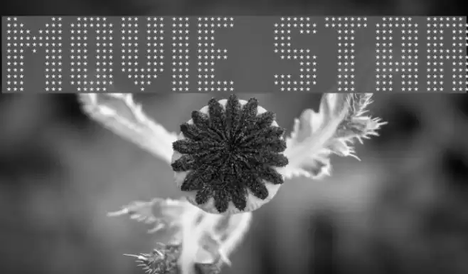 Movie Star Font examples