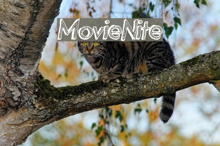 MovieNite Font examples