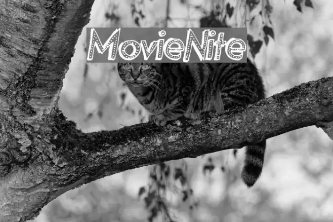 MovieNite Font examples