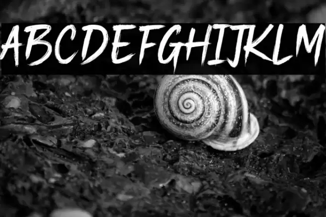 Moviecal Font examples