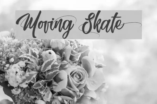 Moving Skate Example 1