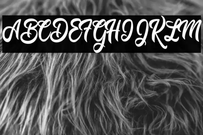 Moving Star Personal Use  Font examples