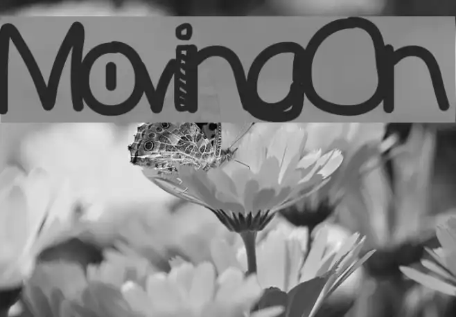 MovingOn Example 3