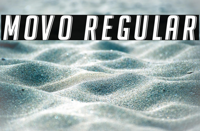 Movo Regular Example 1
