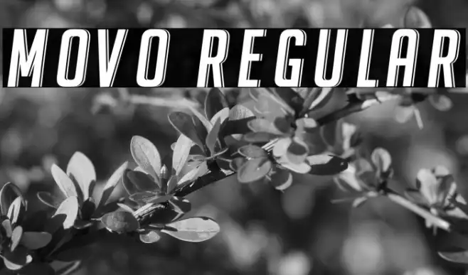 Movo Regular Example 2