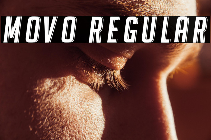 Movo Regular Example 3