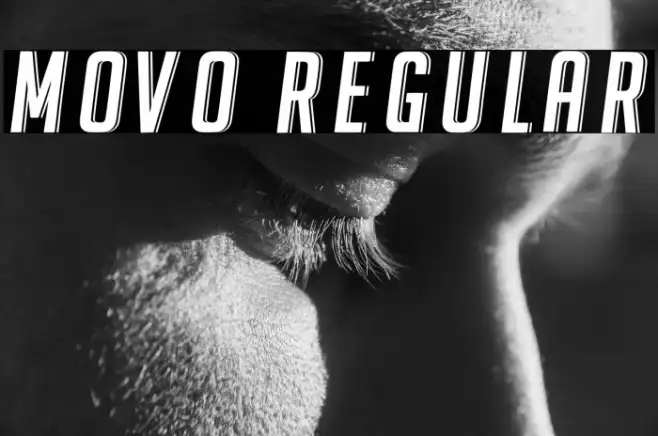 Movo Regular Example 3