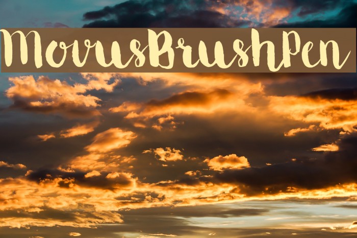 MovusBrushPen Font examples