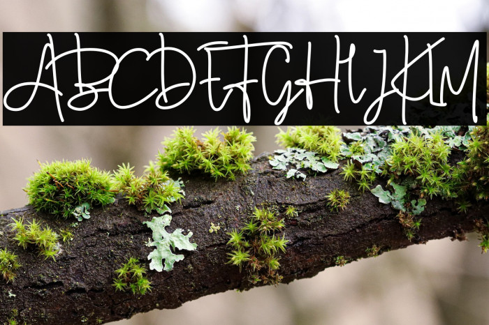 MowgliScript-Regular Example 2