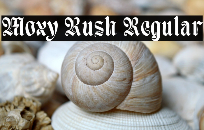 Moxy Rush Regular Example 2