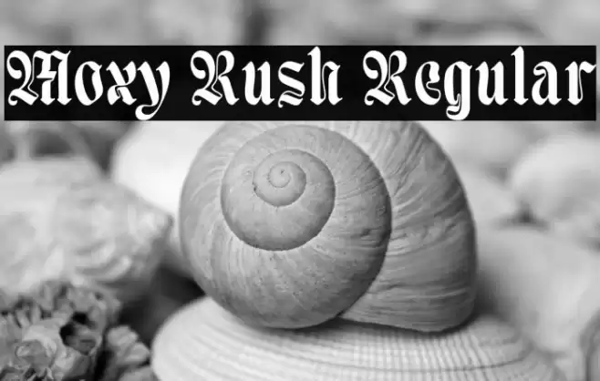 Moxy Rush Regular Font examples