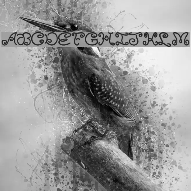 MoxyRoxie Fonte examples