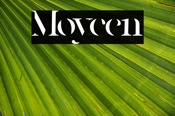 Moycen Example 2