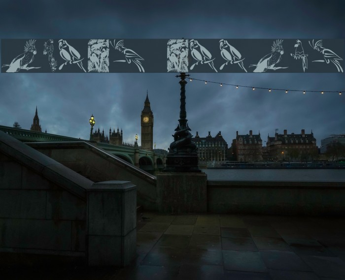 Moyra's Parrots Example 1