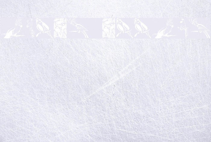 Moyra's Parrots Example 3