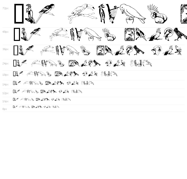 Moyra's Parrots Waterfall