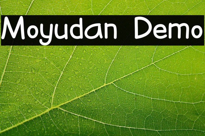Moyudan Demo Example 3