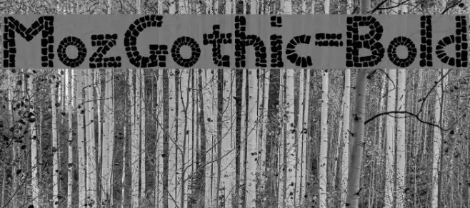 MozGothic-Bold Example 1