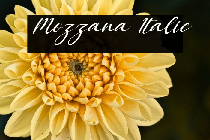 Mozzana Italic Example 2