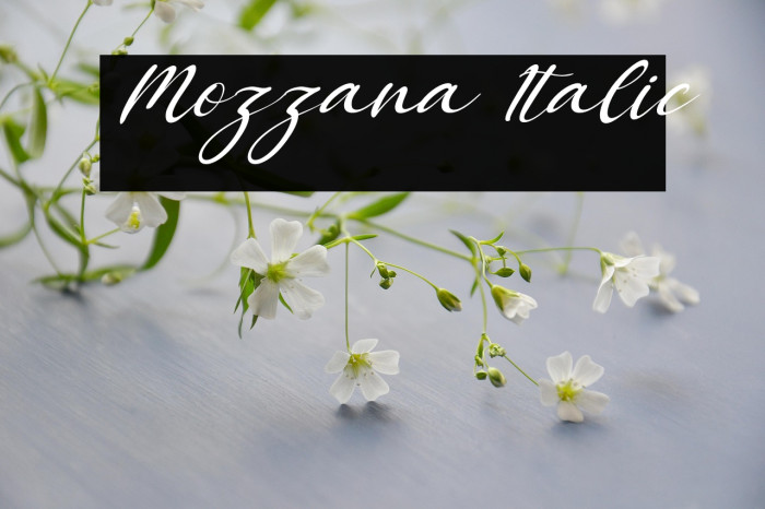 Mozzana Italic Example 3