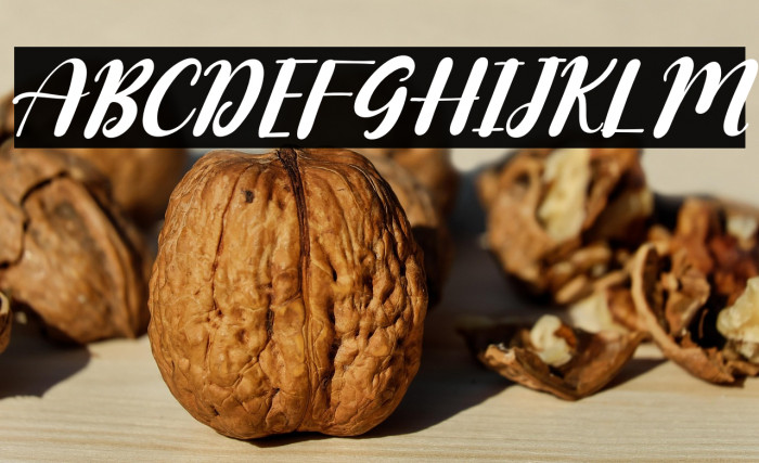 Mozzarella Italic Example 2