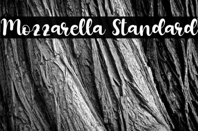 Mozzarella Standard Font examples