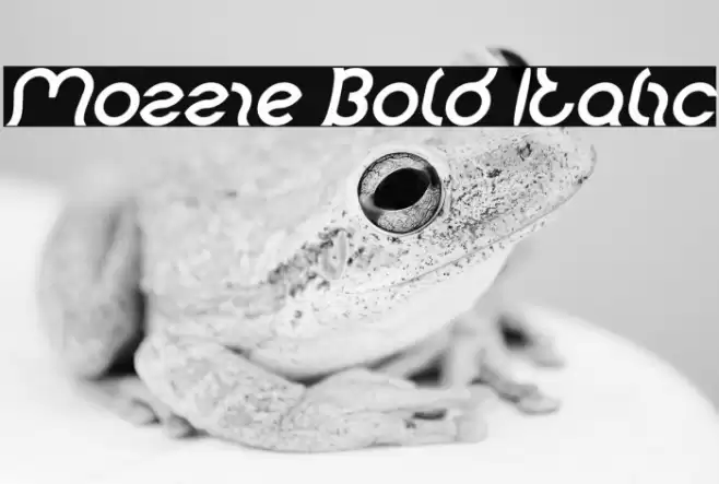 Mozzie Bold Italic Font examples