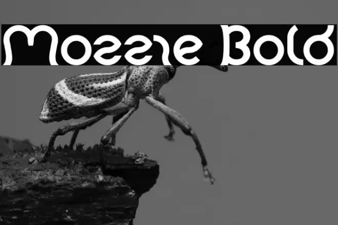 Mozzie Bold Font examples