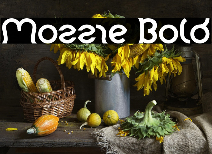 Mozzie Bold Example 2