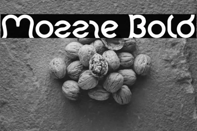 Mozzie Bold Font examples