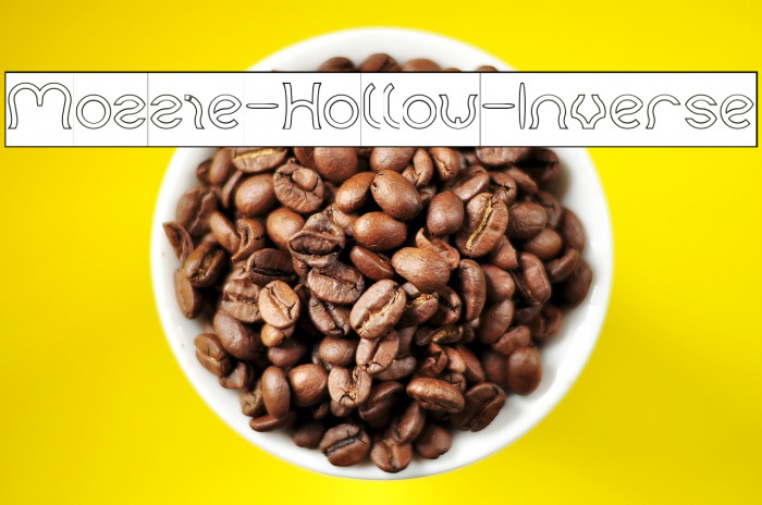 Mozzie-Hollow-Inverse Example 1