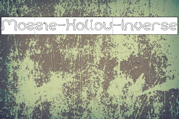 Mozzie-Hollow-Inverse Example 3